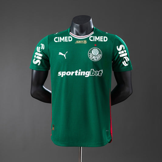 Player version