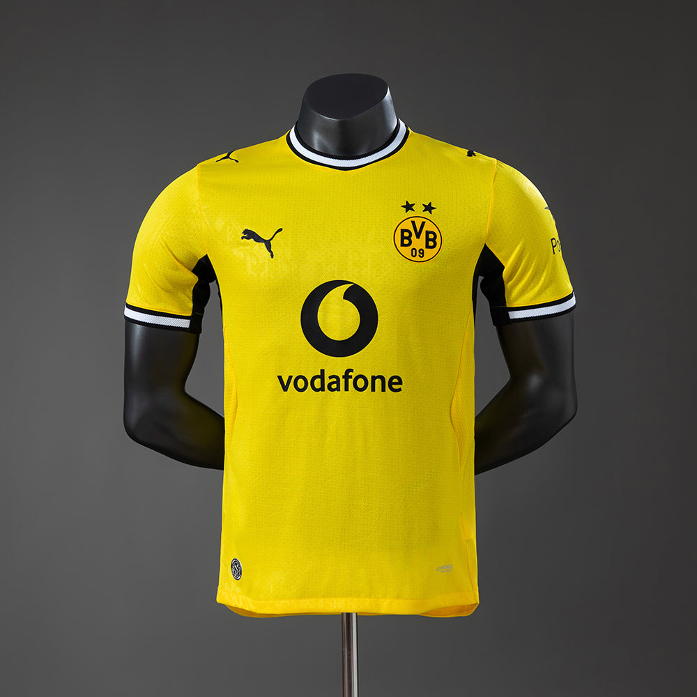 Player version