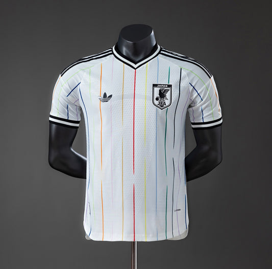 Player version