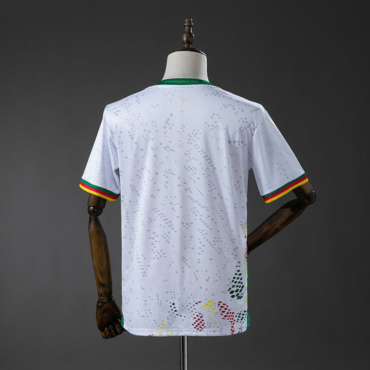 Cameroon 2026 | Visitor