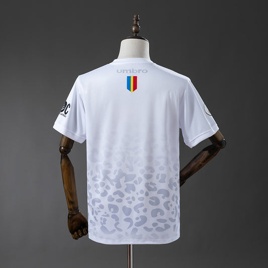 Congo 2026 | Visitor