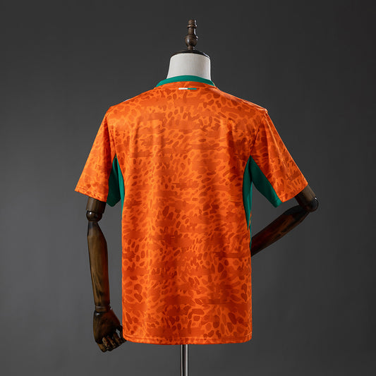 Ivory Coast 2026 | Local