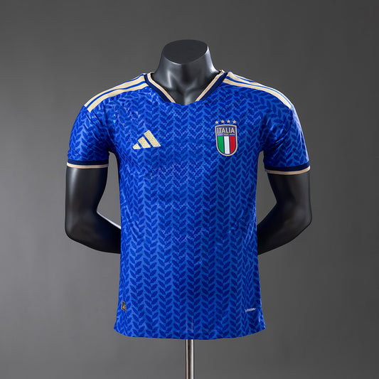 Player Version