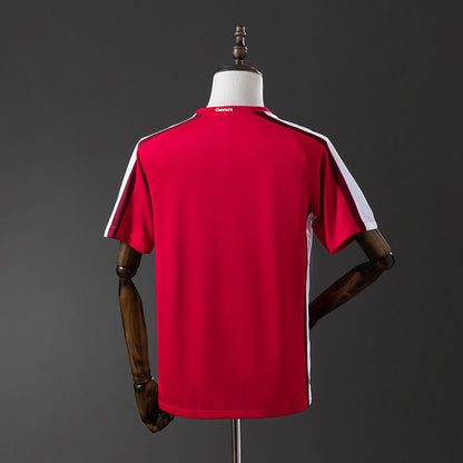 Arsenal 2008-2010 | Primera Equipación