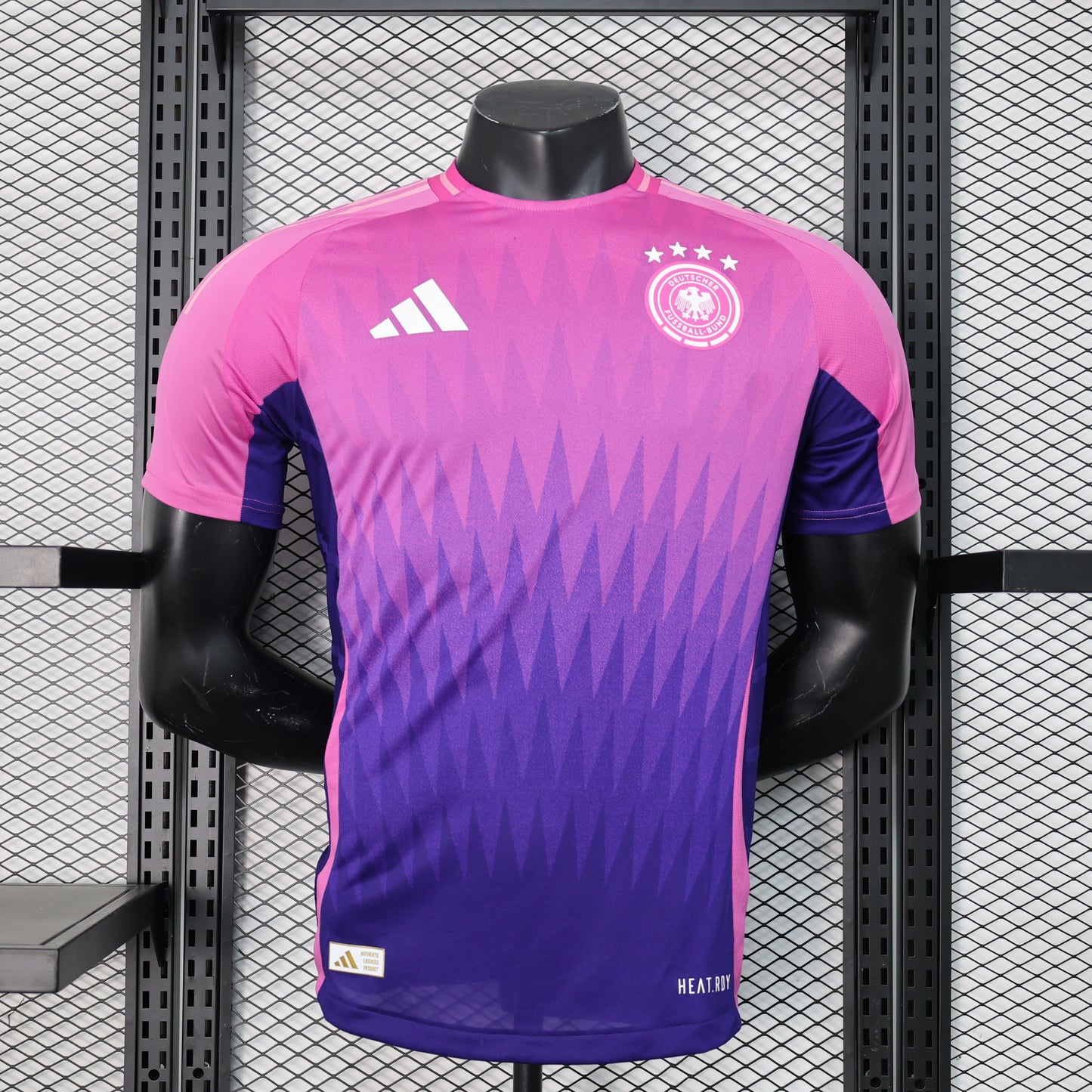 Alemania 2024  | Visitante
