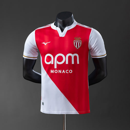 Player Version