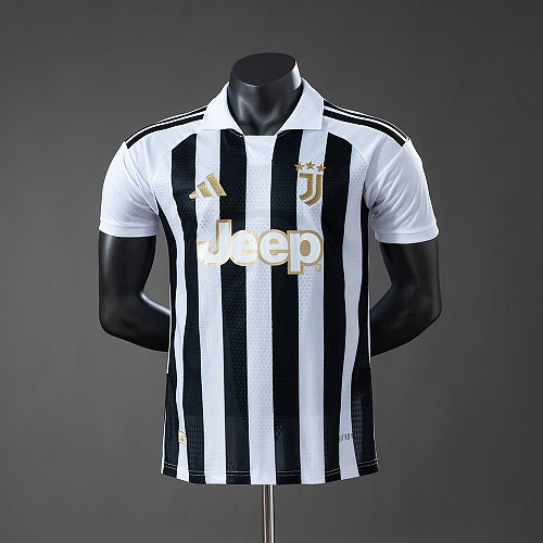 Player version