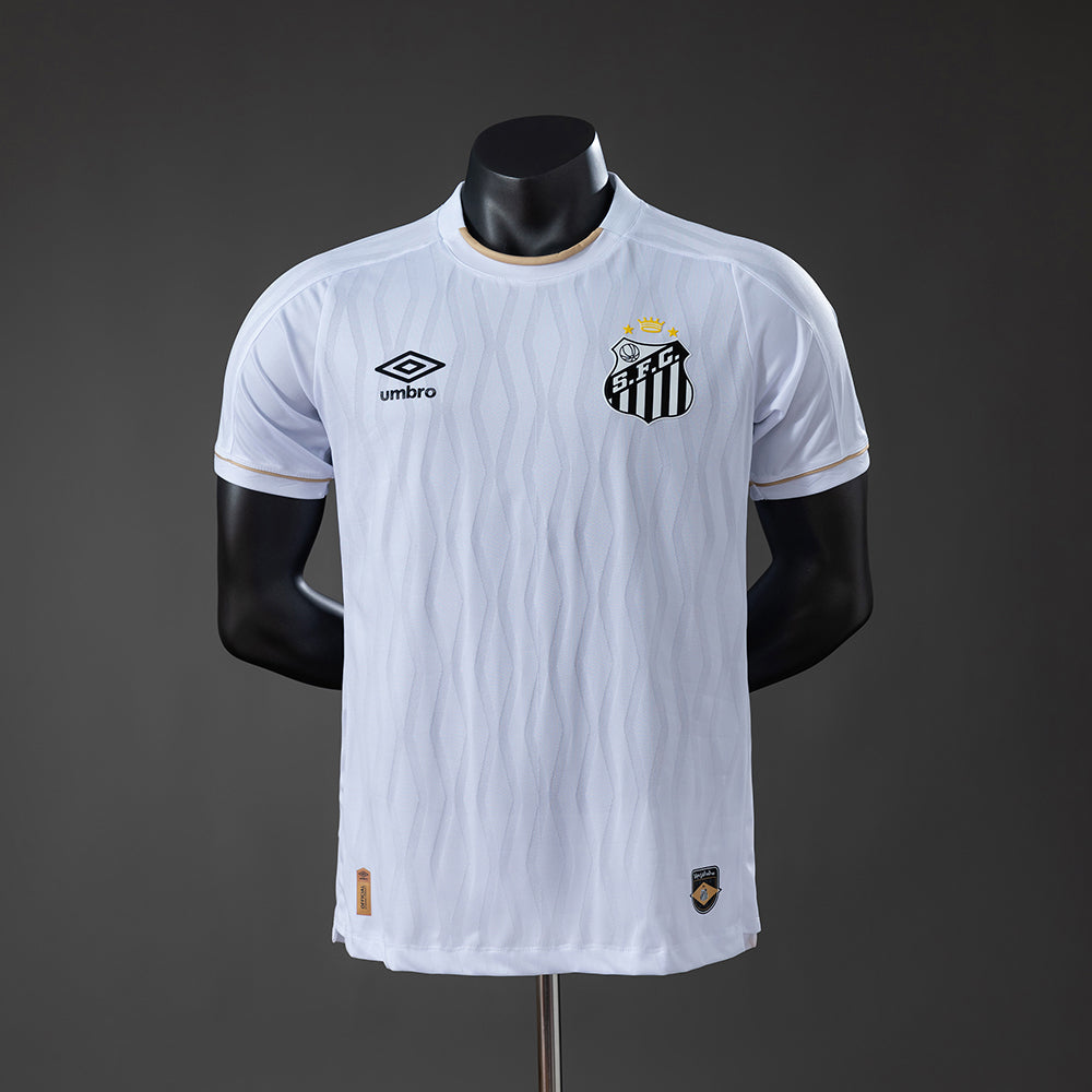 Player version