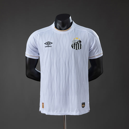 Player version