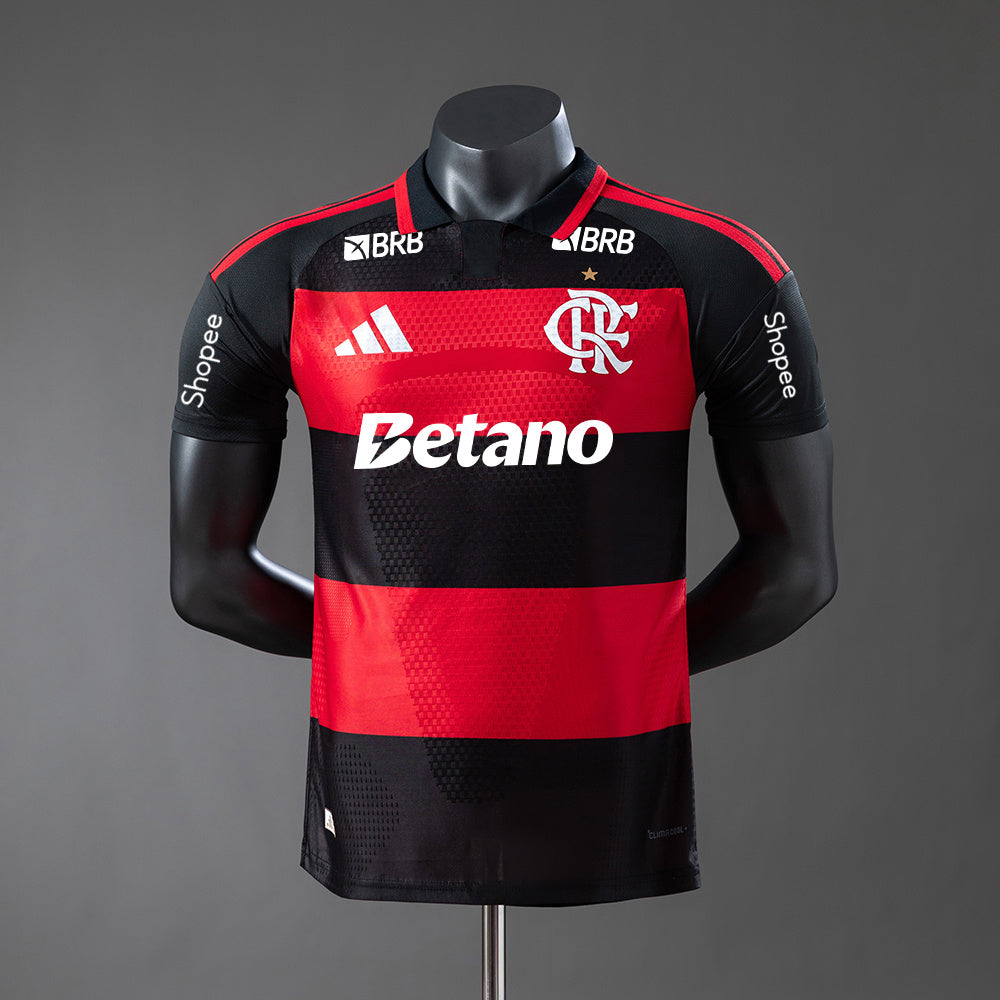 Player version