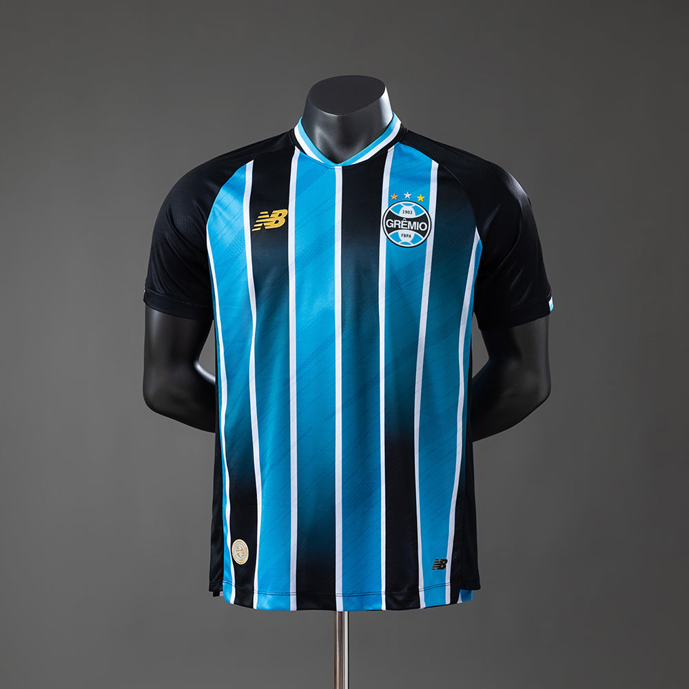 Player version