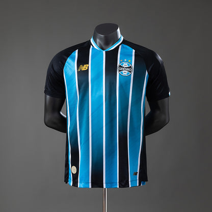 Player version