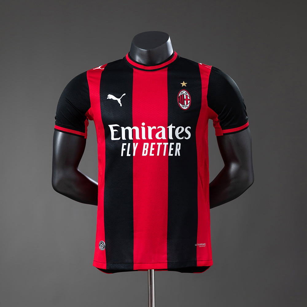 Player version