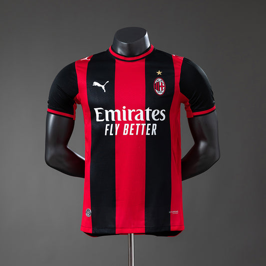 Player version
