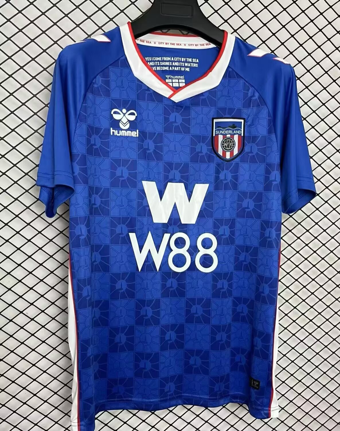 Fan Version