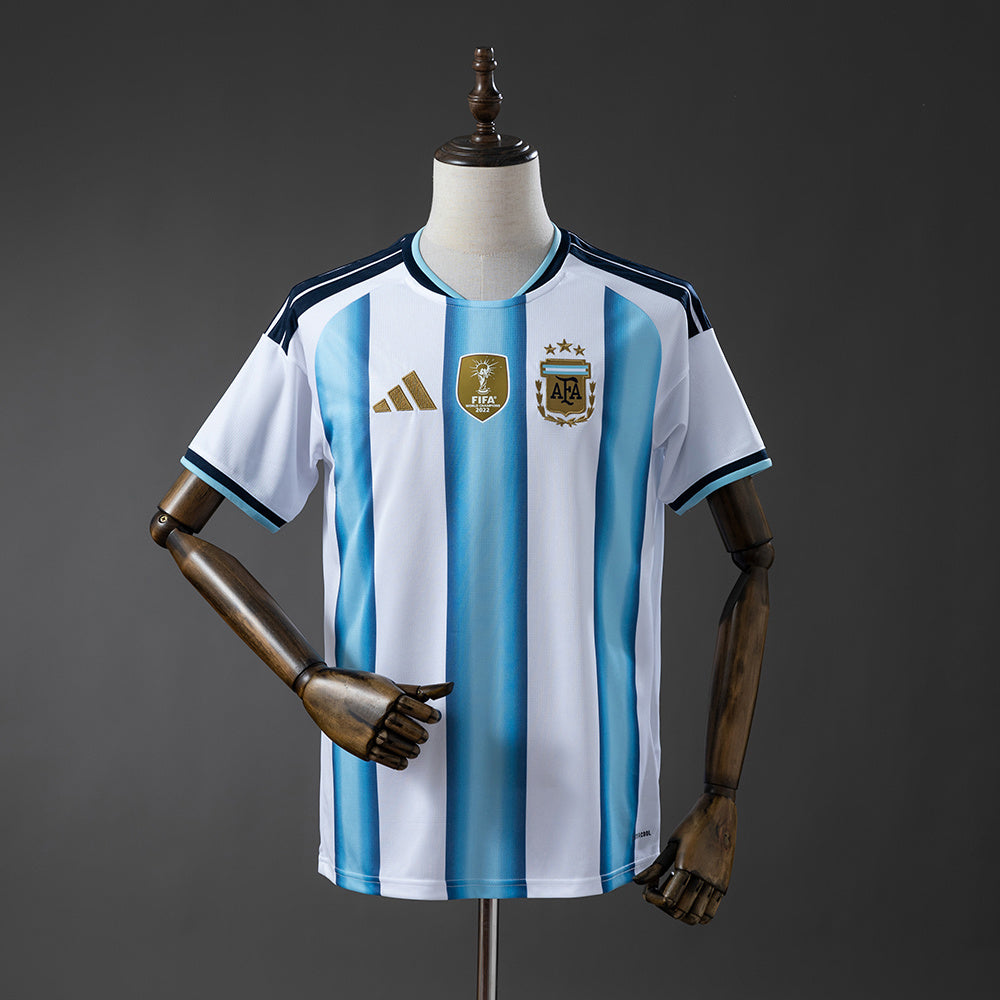 Fan Version
