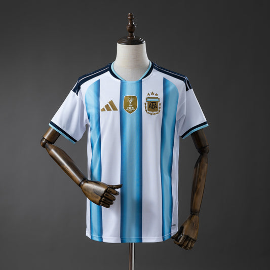 Fan Version