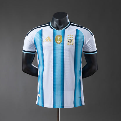 Player Version