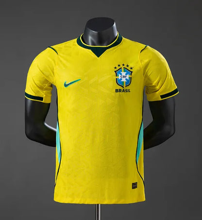 Player version