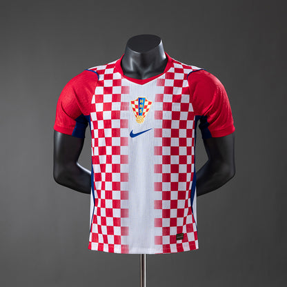 Player Version
