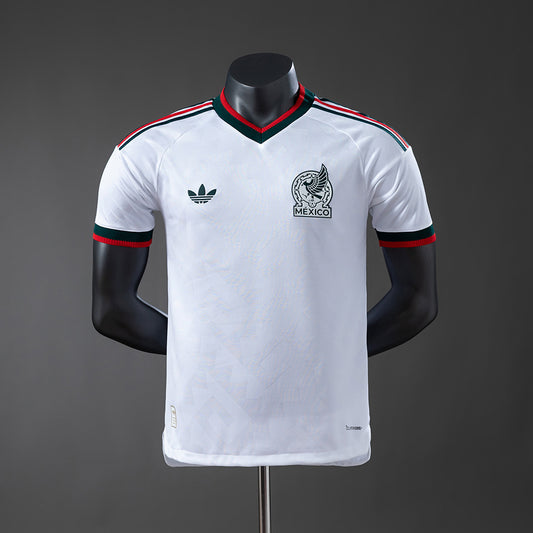 Player Version
