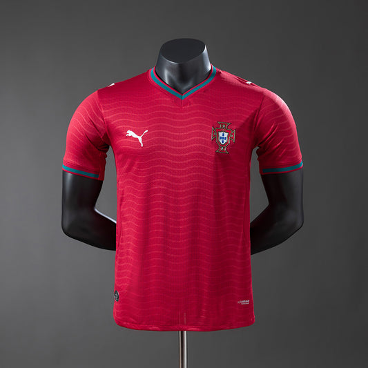 Player Version